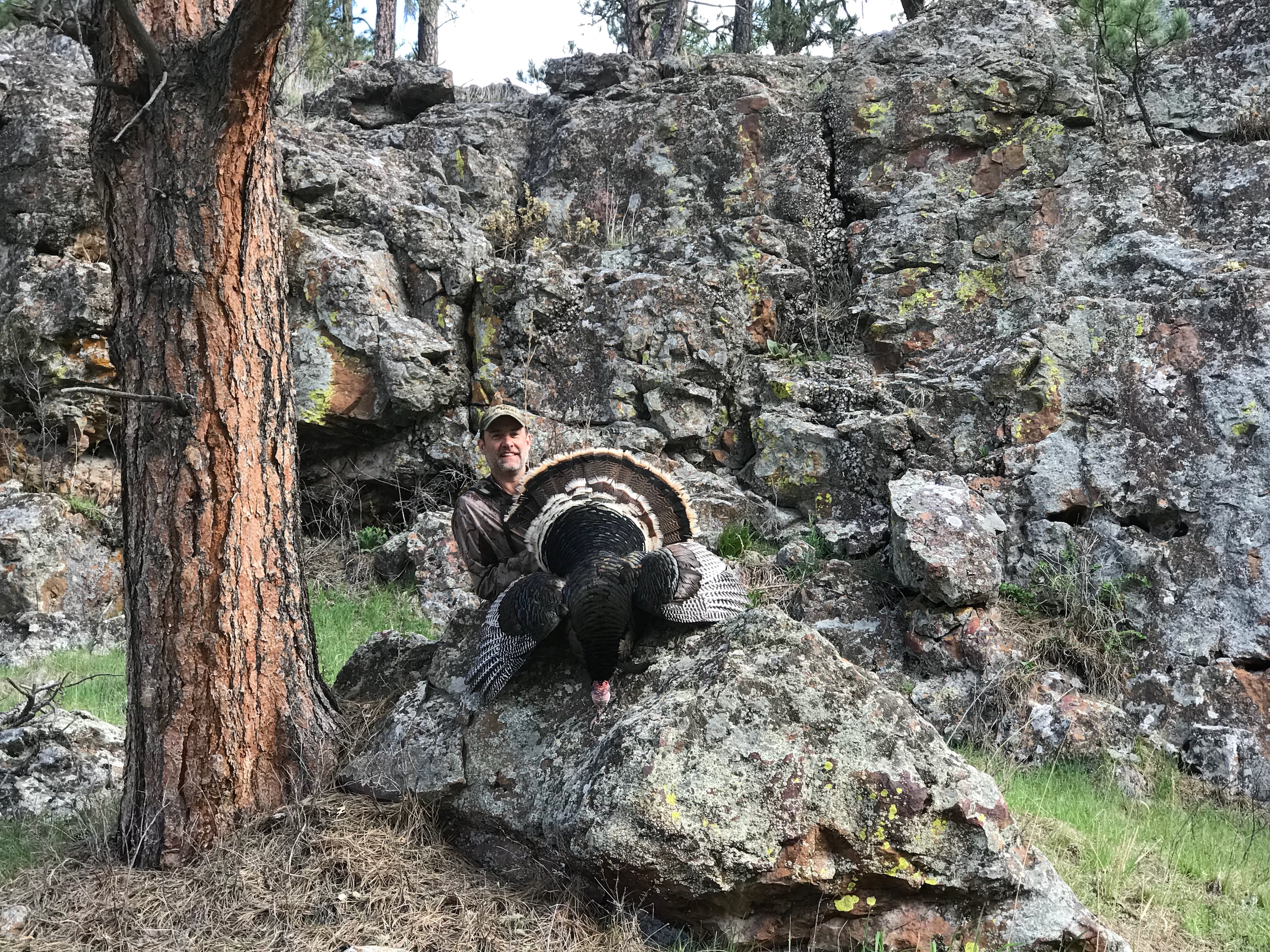 Turkey Hunt in the Black Hills Natural Gear