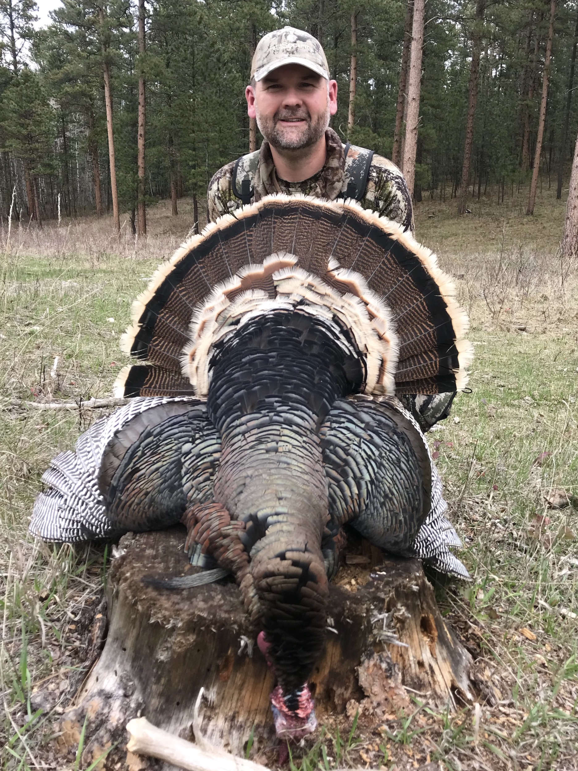 Turkey Hunt in the Black Hills Natural Gear