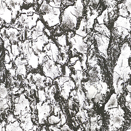 Snow Camouflage